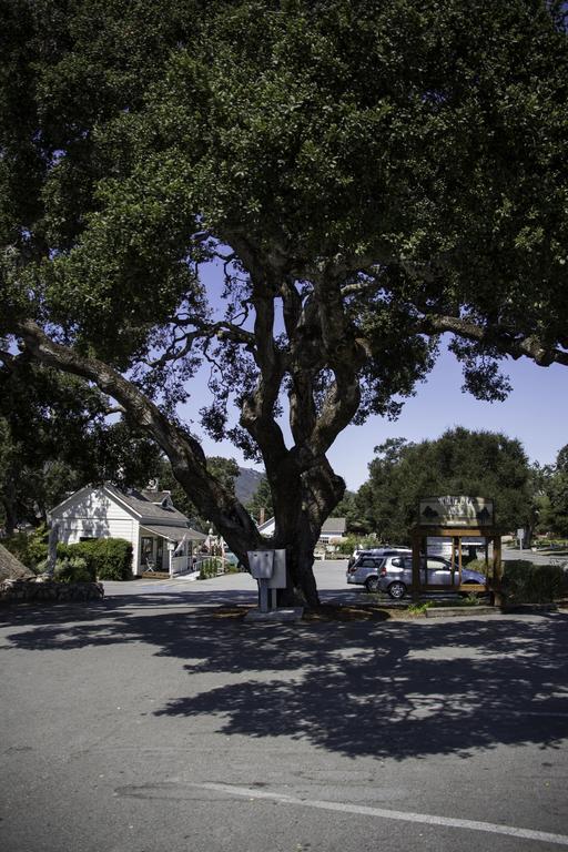 The Blue Sky Lodge Carmel Valley Kültér fotó